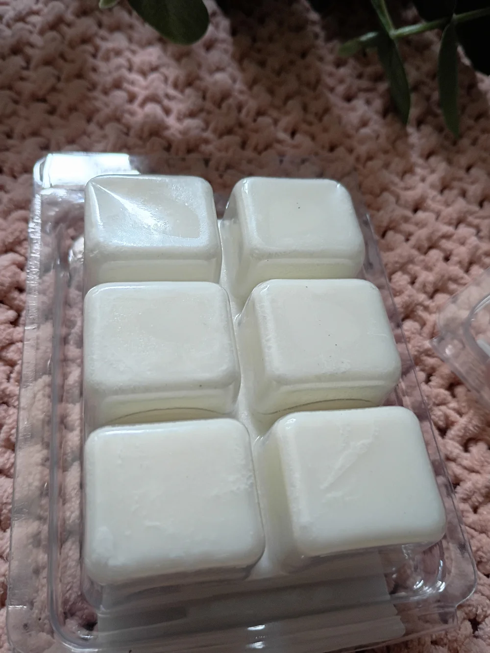 Wax Melt Fresh Cut Grass Scent Clamshell - White Scented Wax Cubes